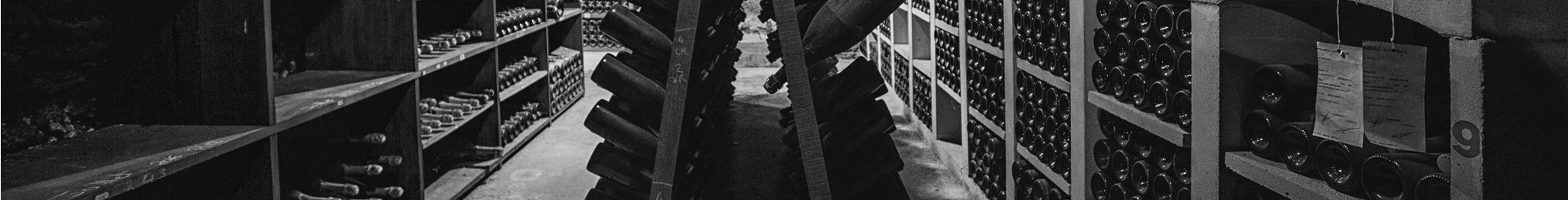 sadi website background